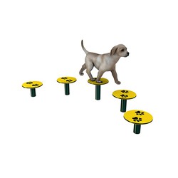 Paseo para parques de Agility para perros