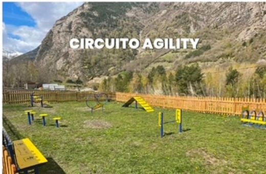 Circuito Agility para Perros