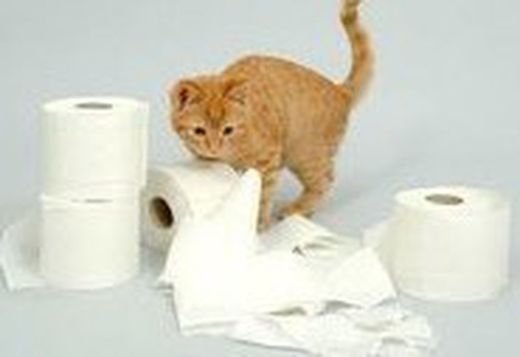 Papel Celulosa-Bolsas basura