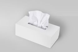 Caja pañuelos facial 2/c 48 estuches