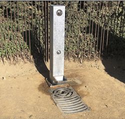 Fuente Canina para mascotas