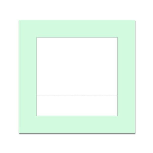 Recambios placas mata insectos